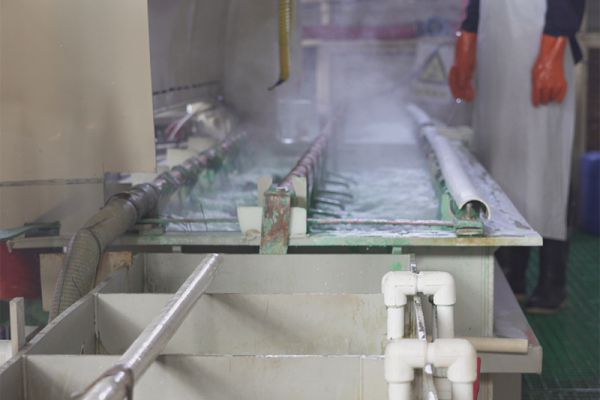 Electroplating (nickel, chromium, gold, silver)