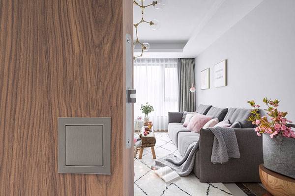 Flush Pull Mortise Lock, Flush Pull Only, Flush Pull Only